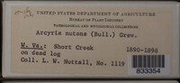 Image Associated With the Occurence